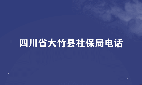 四川省大竹县社保局电话