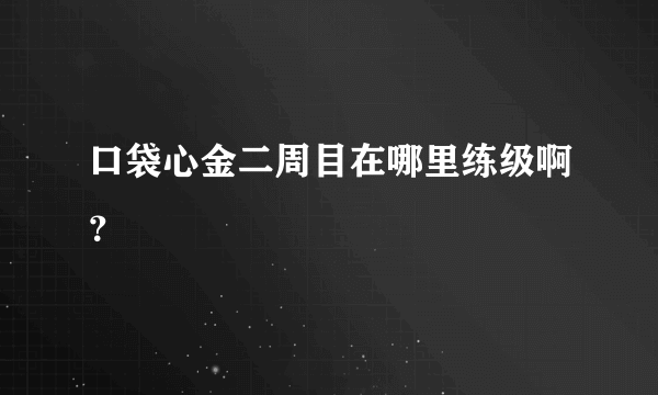 口袋心金二周目在哪里练级啊？