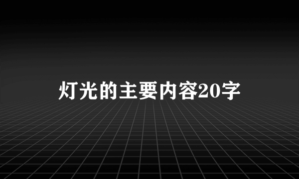 灯光的主要内容20字