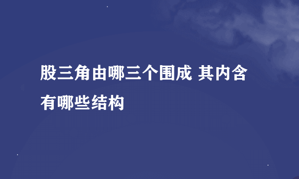 股三角由哪三个围成 其内含有哪些结构