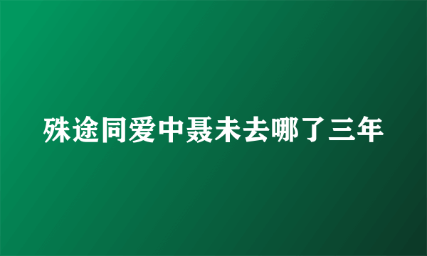 殊途同爱中聂未去哪了三年