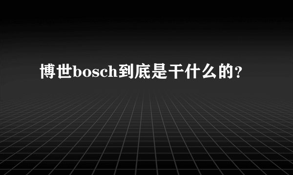 博世bosch到底是干什么的？