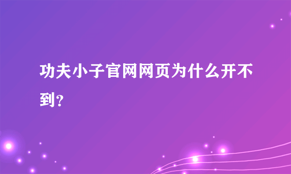 功夫小子官网网页为什么开不到？