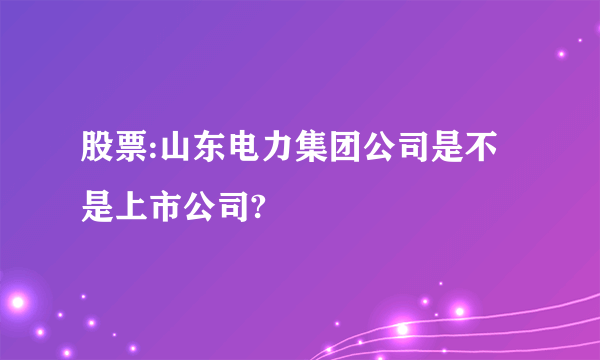 股票:山东电力集团公司是不是上市公司?