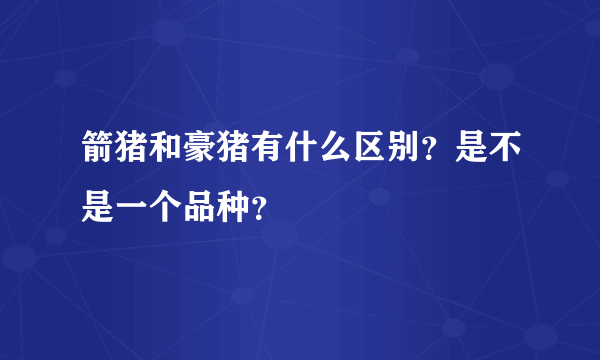 箭猪和豪猪有什么区别？是不是一个品种？