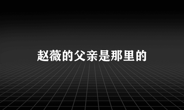 赵薇的父亲是那里的