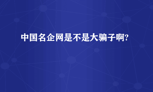 中国名企网是不是大骗子啊?