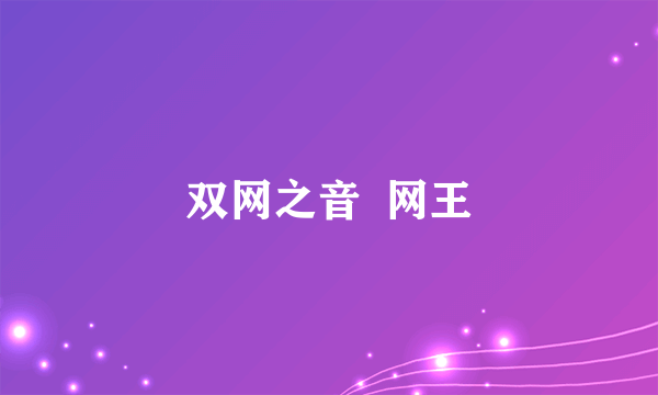 双网之音  网王