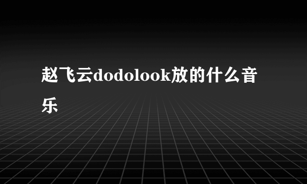 赵飞云dodolook放的什么音乐