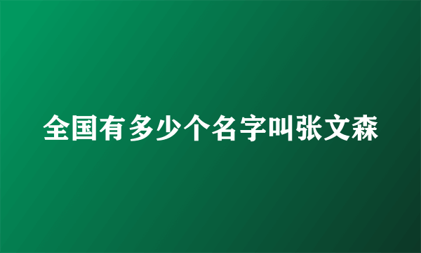 全国有多少个名字叫张文森