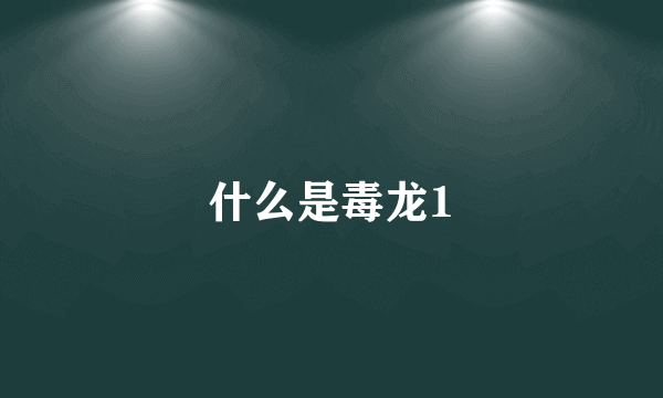 什么是毒龙1