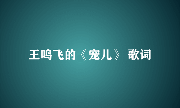 王鸣飞的《宠儿》 歌词