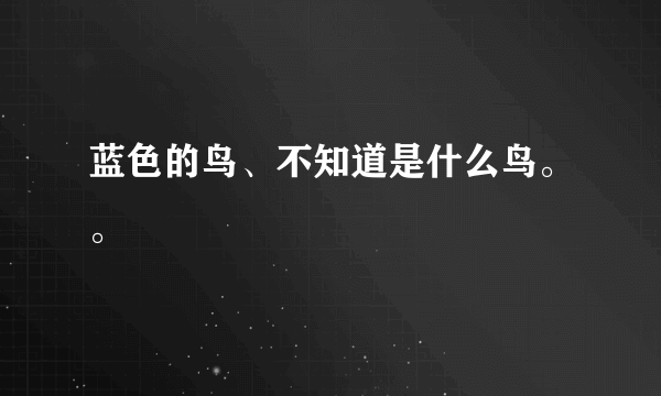 蓝色的鸟、不知道是什么鸟。。