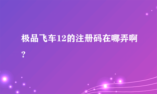 极品飞车12的注册码在哪弄啊？