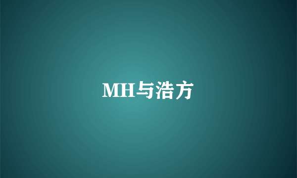 MH与浩方