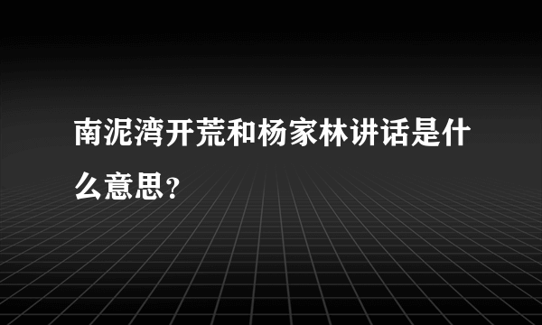 南泥湾开荒和杨家林讲话是什么意思？