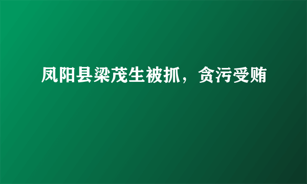 凤阳县梁茂生被抓，贪污受贿