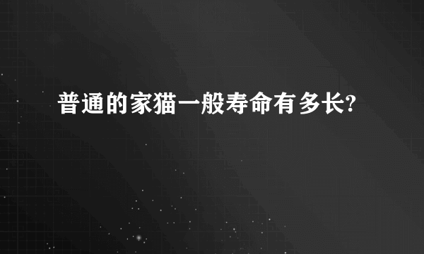 普通的家猫一般寿命有多长?