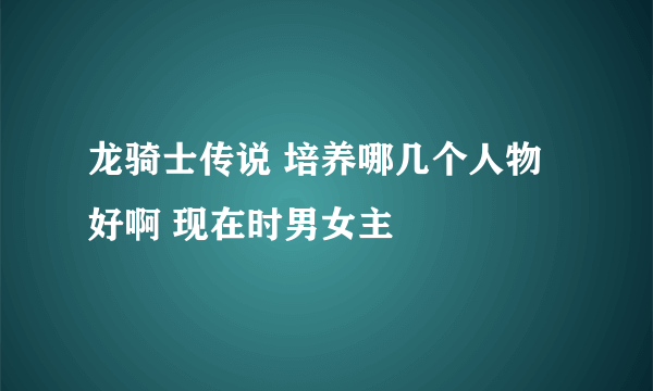 龙骑士传说 培养哪几个人物好啊 现在时男女主