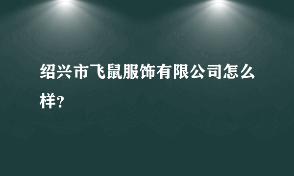 绍兴市飞鼠服饰有限公司怎么样？