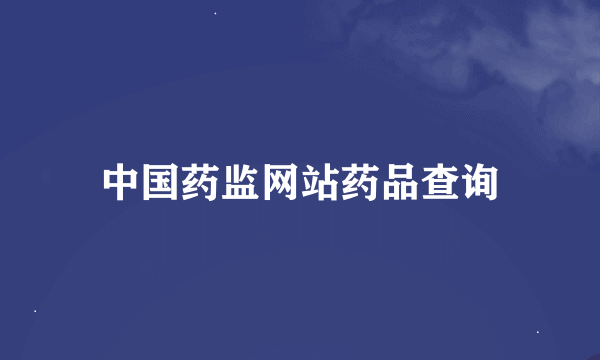 中国药监网站药品查询