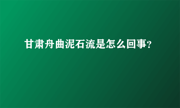 甘肃舟曲泥石流是怎么回事？