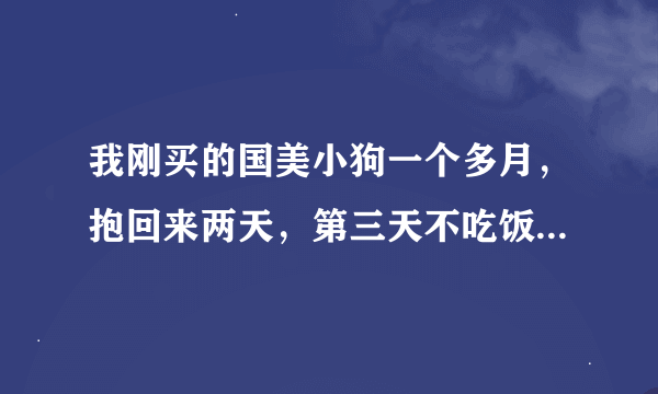 我刚买的国美小狗一个多月，抱回来两天，第三天不吃饭不喝水怎么办