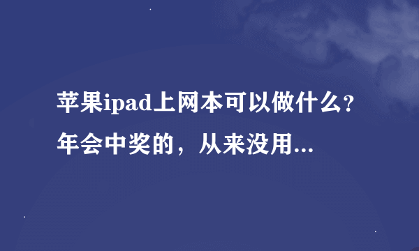 苹果ipad上网本可以做什么？年会中奖的，从来没用过，请大侠们指教