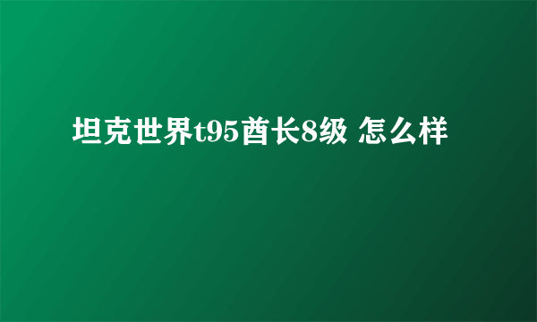 坦克世界t95酋长8级 怎么样