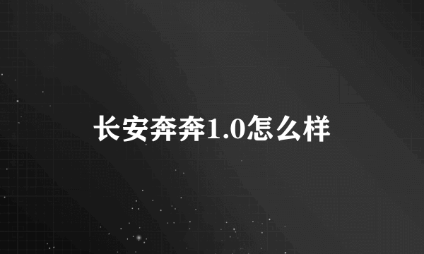 长安奔奔1.0怎么样