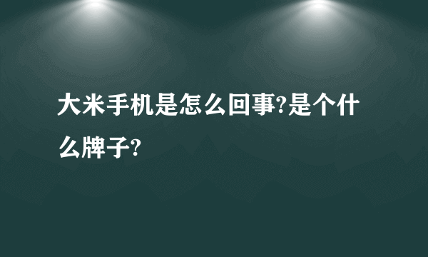 大米手机是怎么回事?是个什么牌子?