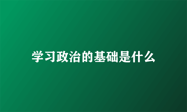 学习政治的基础是什么