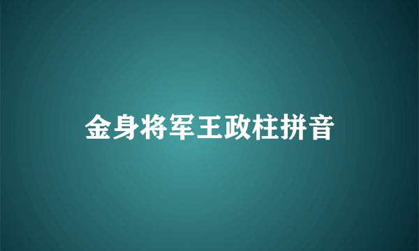 金身将军王政柱拼音