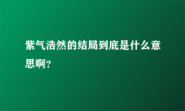 紫气浩然的结局到底是什么意思啊？