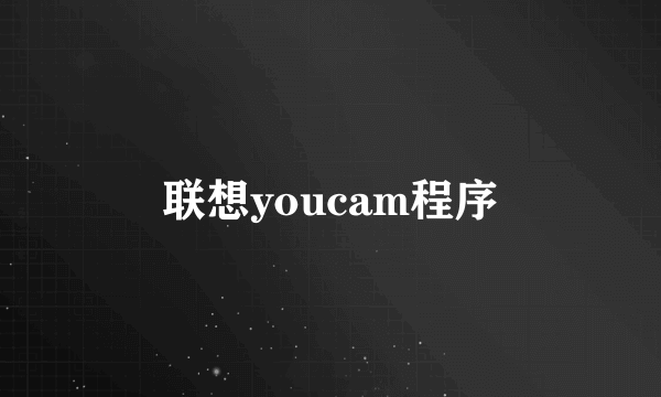 联想youcam程序