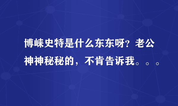 博崃史特是什么东东呀？老公神神秘秘的，不肯告诉我。。。