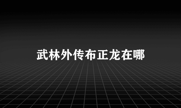 武林外传布正龙在哪