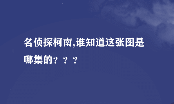 名侦探柯南,谁知道这张图是哪集的？？？