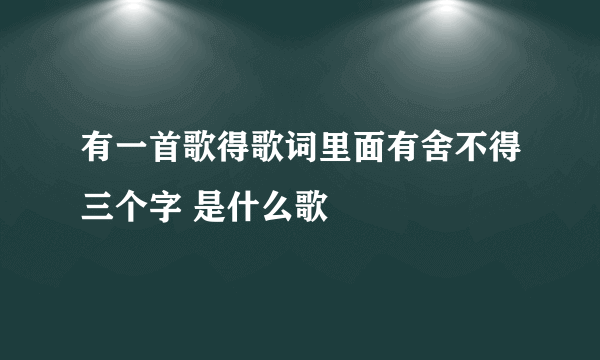 有一首歌得歌词里面有舍不得三个字 是什么歌