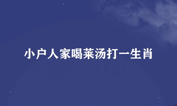 小户人家喝莱汤打一生肖