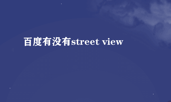 百度有没有street view