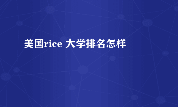 美国rice 大学排名怎样