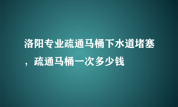 洛阳专业疏通马桶下水道堵塞，疏通马桶一次多少钱