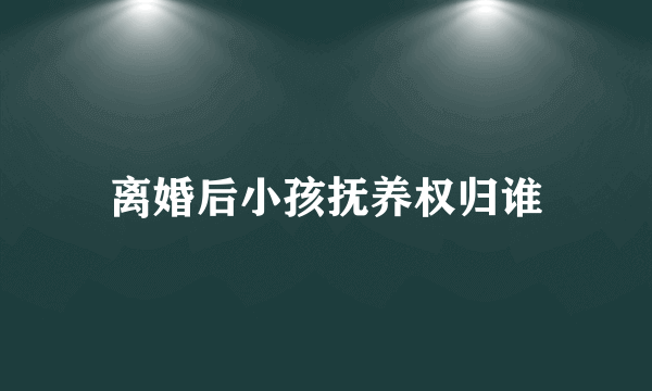 离婚后小孩抚养权归谁