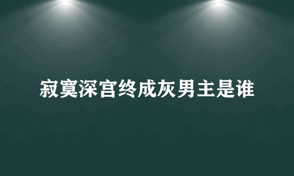 寂寞深宫终成灰男主是谁