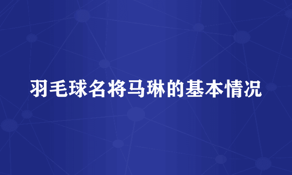 羽毛球名将马琳的基本情况