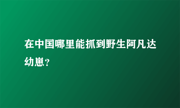 在中国哪里能抓到野生阿凡达幼崽？