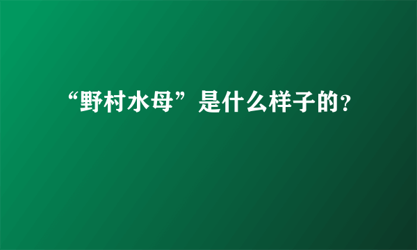 “野村水母”是什么样子的？