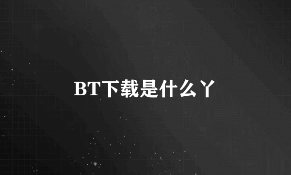 BT下载是什么丫