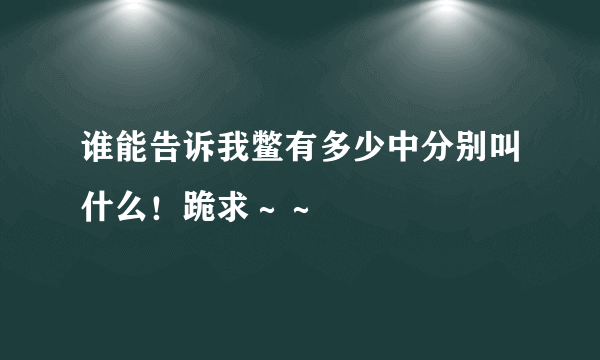 谁能告诉我鳖有多少中分别叫什么！跪求～～